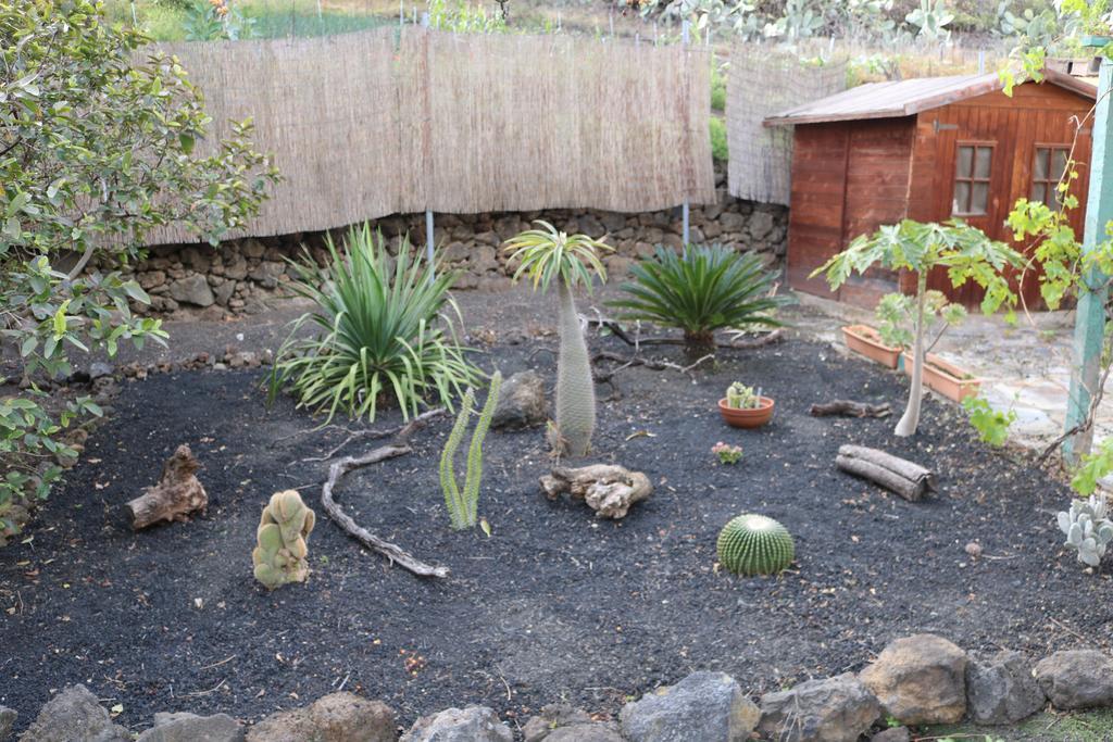 La Alpispa San Francisco de Paula 외부 사진